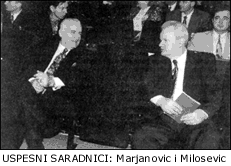 Mirko-2.GIF (21179 bytes)