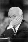 Mirko-8.GIF (9020 bytes)