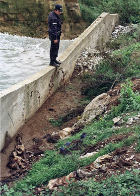 klikni za uvećanje ...i Radonjićko jezero 1998.<br><br>foto: ap photo