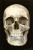 klikni za uvećanje <i>Lobanja ispod kože</i>, 2005. (courtesy Paul Stolper Gallery, Damien Hirst and Science Ltd.)
